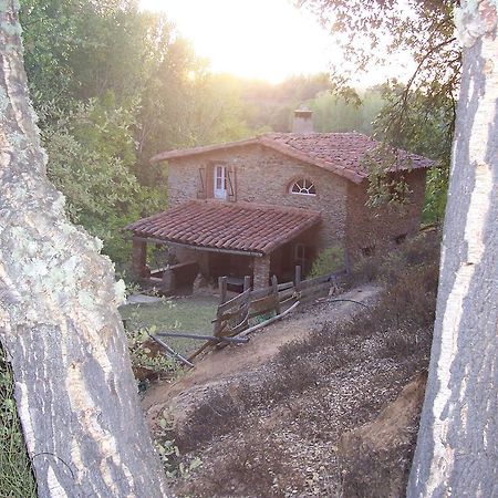 Casas El Alamillo- El Castanero Vendégház Galaroza Kültér fotó